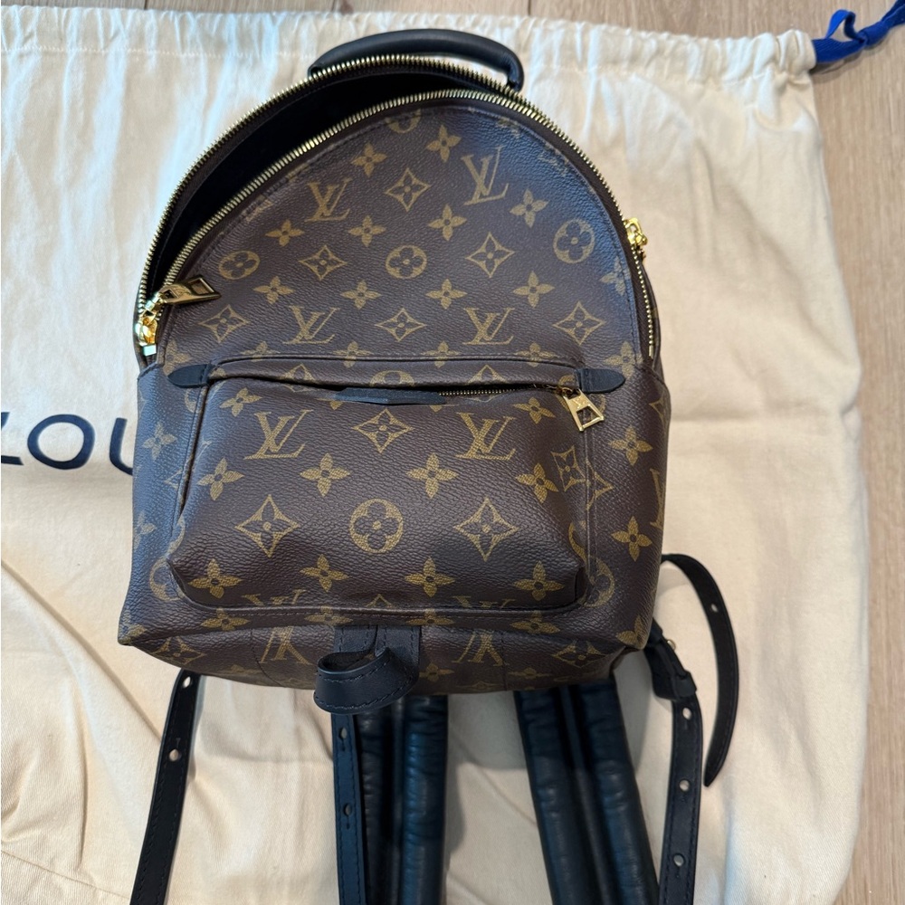 Louis Vuitton Palm Springs PM
